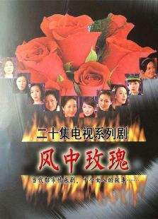 风中玫瑰第1集