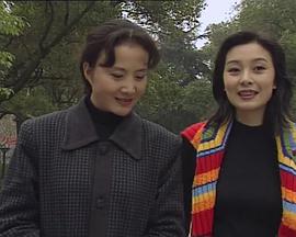 望月湖的故事第17集