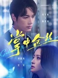 掌中金丝（长姐她竟是隐藏大佬）(全集)