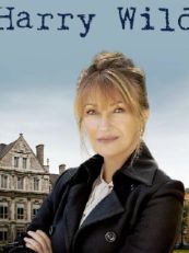 野探哈莉 第三季第01集